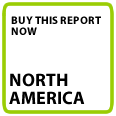 Buy North America Global Report Now